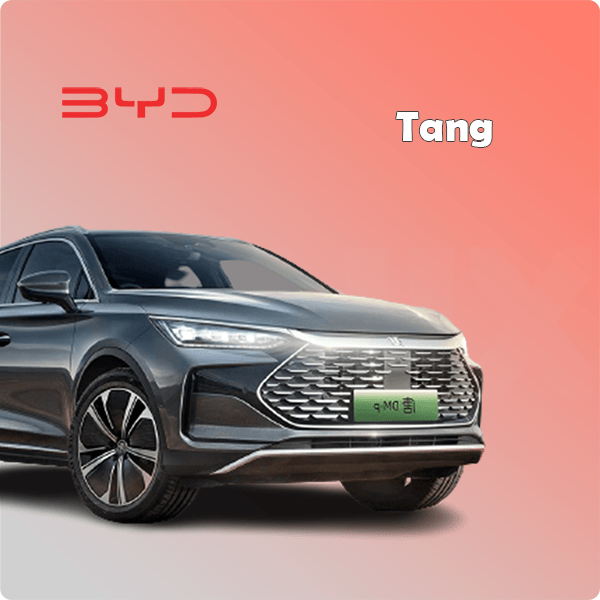 BYD Tang L