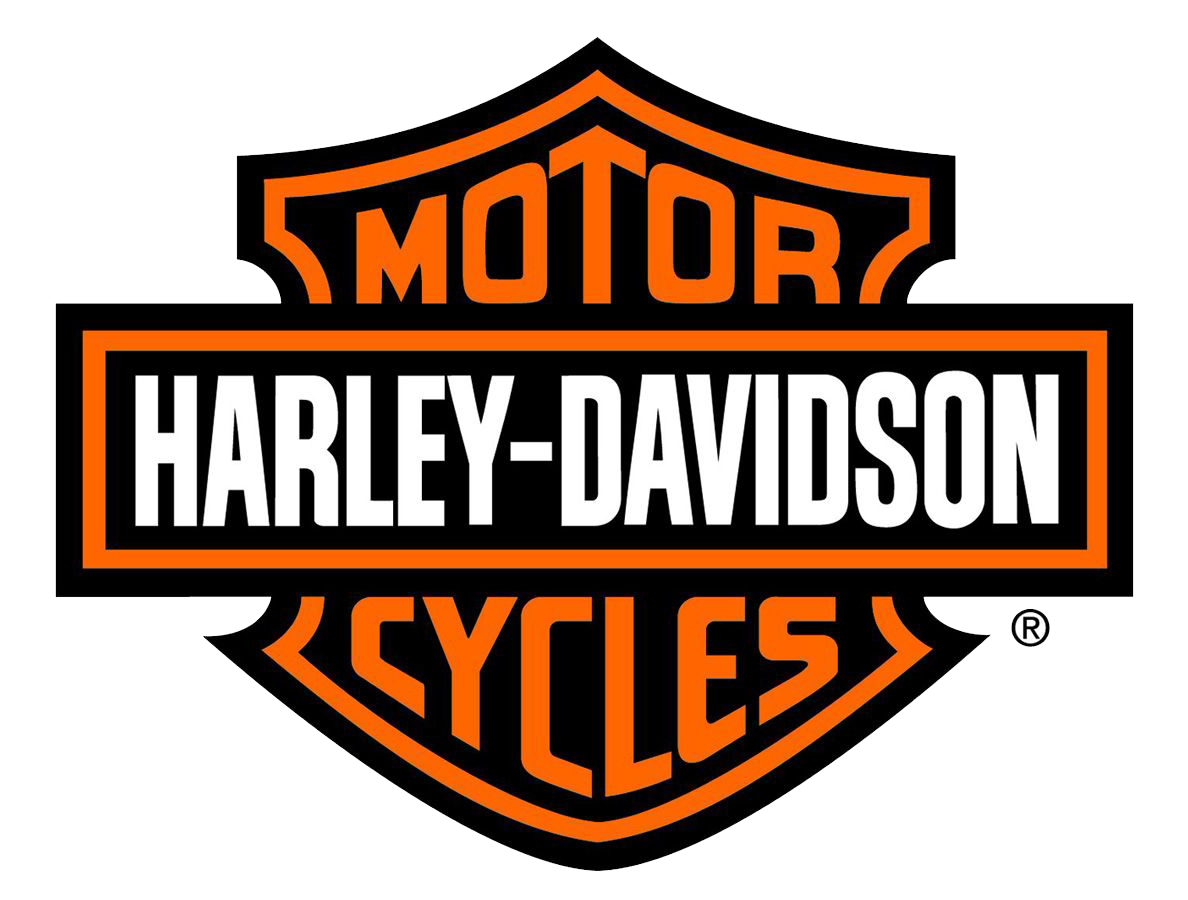 Harley Davidson Cruiser